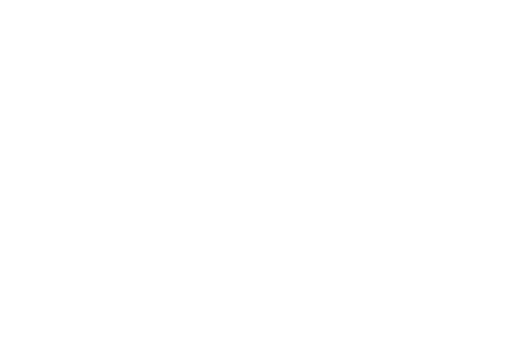 Millennium logo